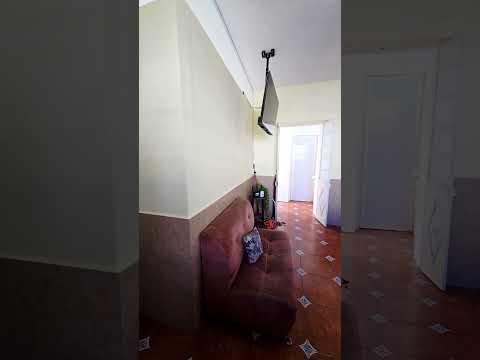 Previsualización del video