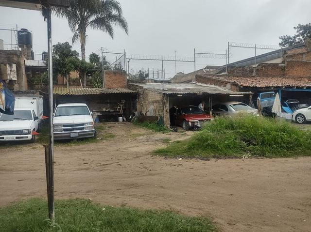 Foto de la galeria de imagenes