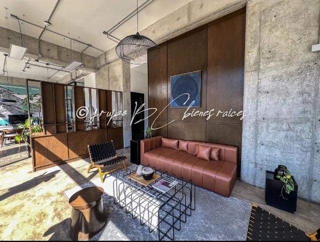 Foto de la galeria de imagenes