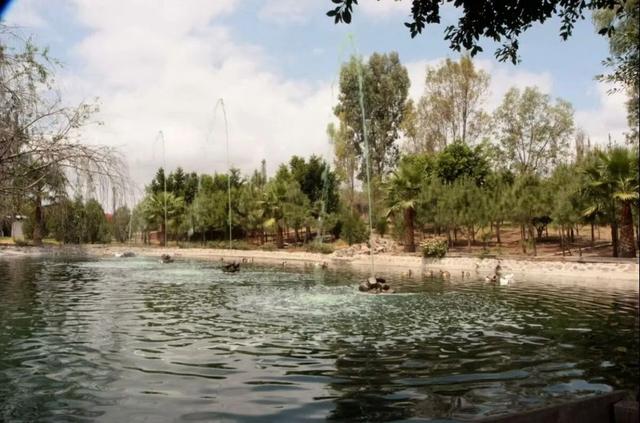 Foto de la galeria de imagenes