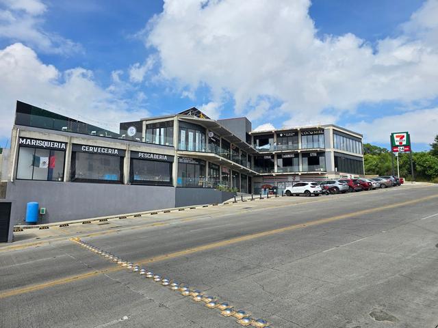 Foto de la galeria de imagenes