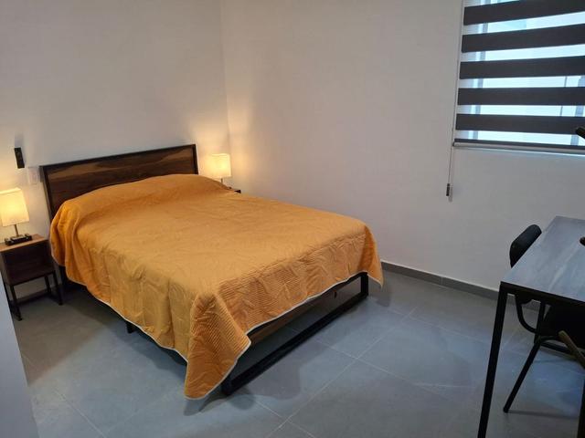 Foto de la galeria de imagenes