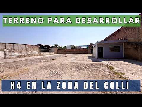 Previsualización del video