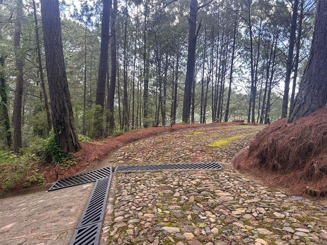 Foto de la galeria de imagenes