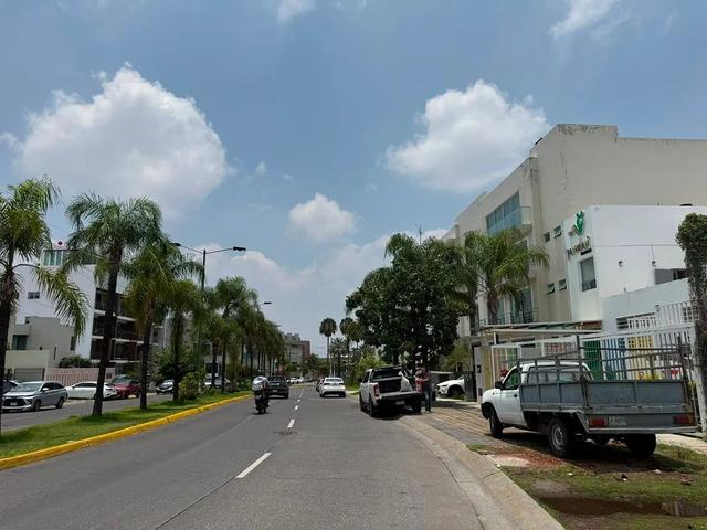 Foto de la galeria de imagenes