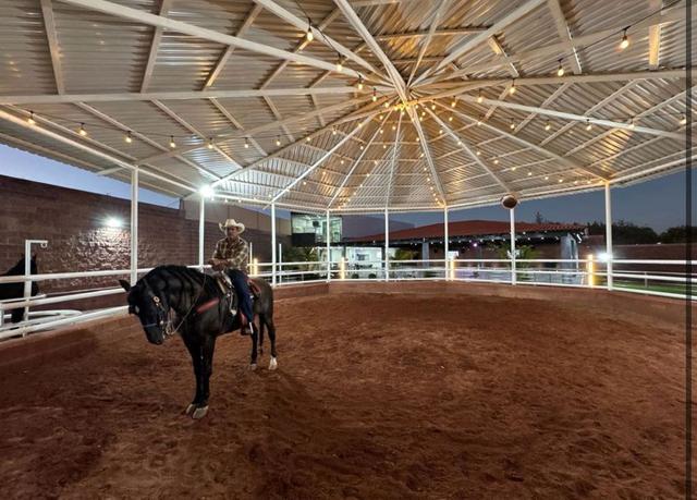 Foto de la galeria de imagenes