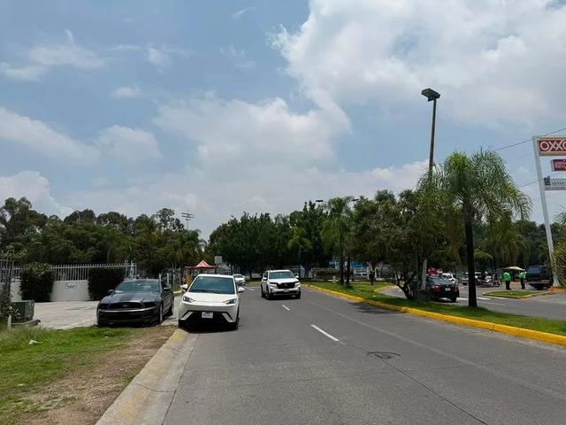 Foto de la galeria de imagenes