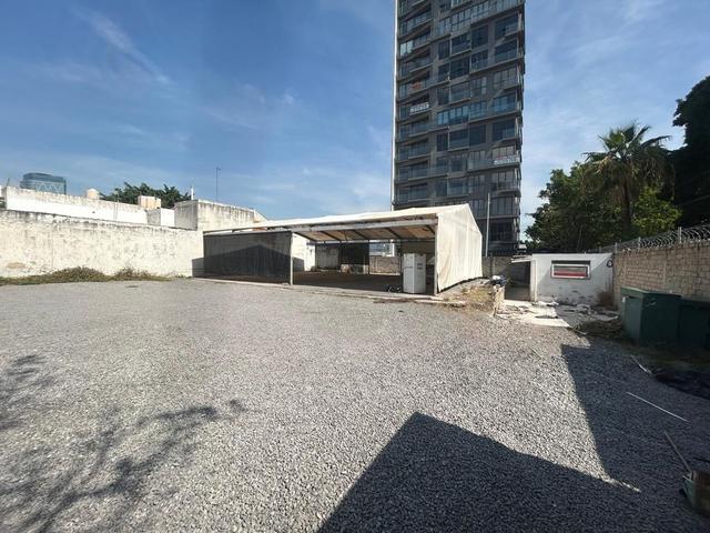 Foto de la galeria de imagenes